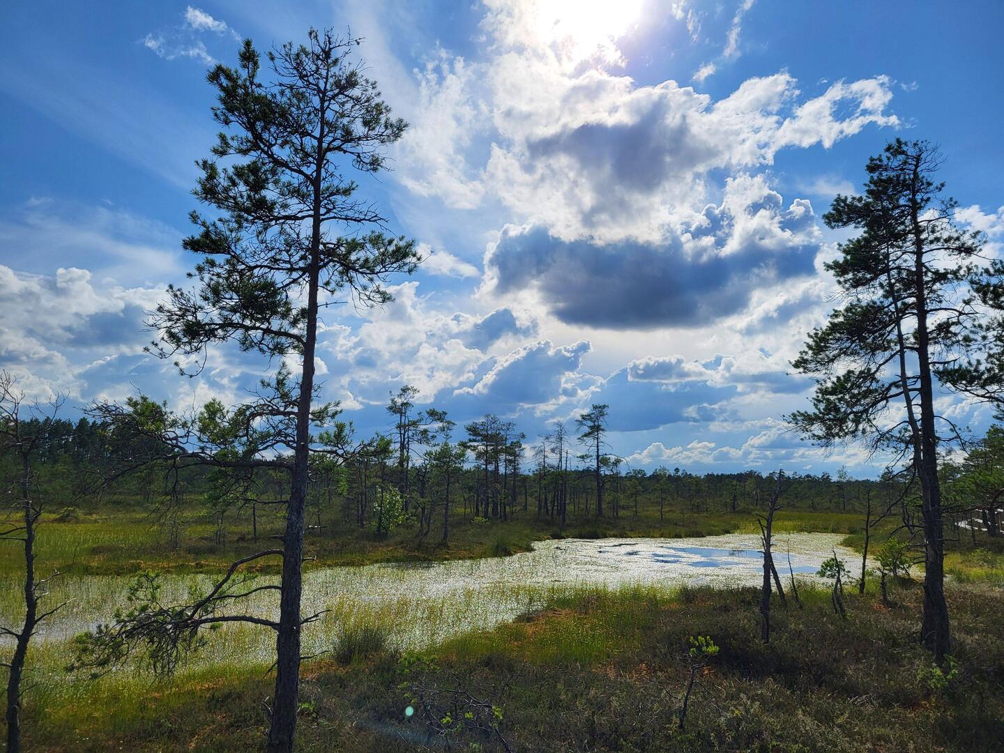 Skaista ezers