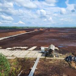 Die Nahtstelle zwischen Naturschutz und Torfabbau.