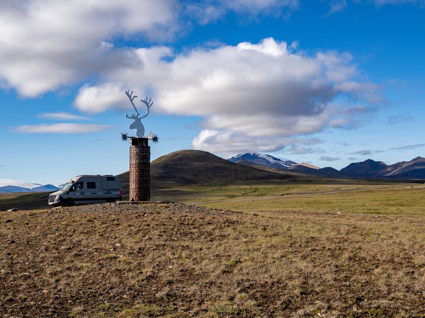 Erstes Rentier 🤣, ok zählt nicht ganz!