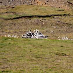 Hm, von diesen Rentieren sind nur noch die Geweihe übrig