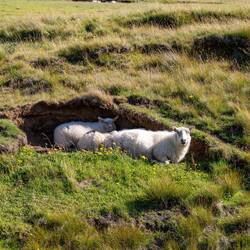 Wir haben unsere eigene Höhle
