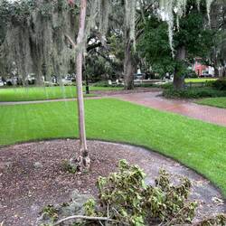 Moving snap of Orleans Square