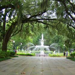 A portion of Forsyth Park - the Fragrant Garden (borrowed image)