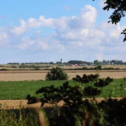Wälder, Felder, Natur, die etwas später dran ist als bei uns in Deutschland.