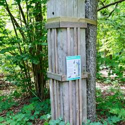 Ein Mulmholk: Ein Futtersammler für Vögel in dem sich Insekten ansiedeln.