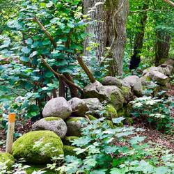 Überall Steinwälle und diese ordentlich kartiert. Siehe den Kennzeichnungspfahl.