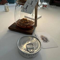 Tuna in a tin
