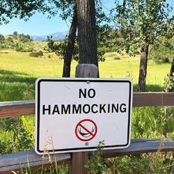 Who knew 'to hammock' was a verb