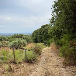 Schotterweg Abkürzung- war nich' so dolle