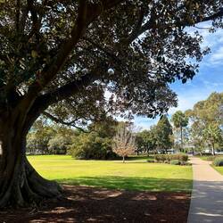 Het Victoria Park, dat bij de campus hoort!