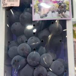 Weintrauben rot 28€