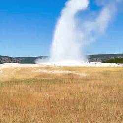 Der Old Faithful Geysir bricht aus