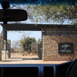 Gate into Thornybush Reserve