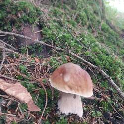 Flora & Fauna intakt