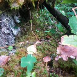 In der Langsamkeit entdeckt man aber auch die Details☺️