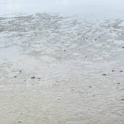 No idea what those mid skippers are