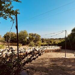 Gesetztes Dinner in traumhafter Kulisse.