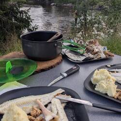 Smoked Perch an Kartoffelbrei mit Semmelstoppelpilzen - deliziös