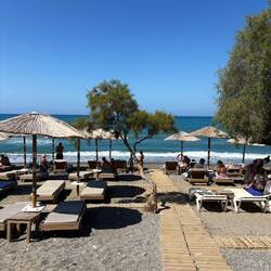 Cette histoire d'arbres à la plage c'est vraiment cool