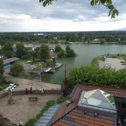 Blick zum Rhein