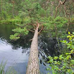 Da ist jemand ins Wasser gefallen.