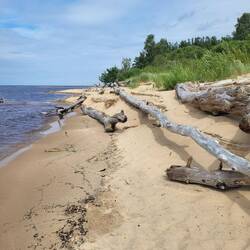 Naturstrand pur.