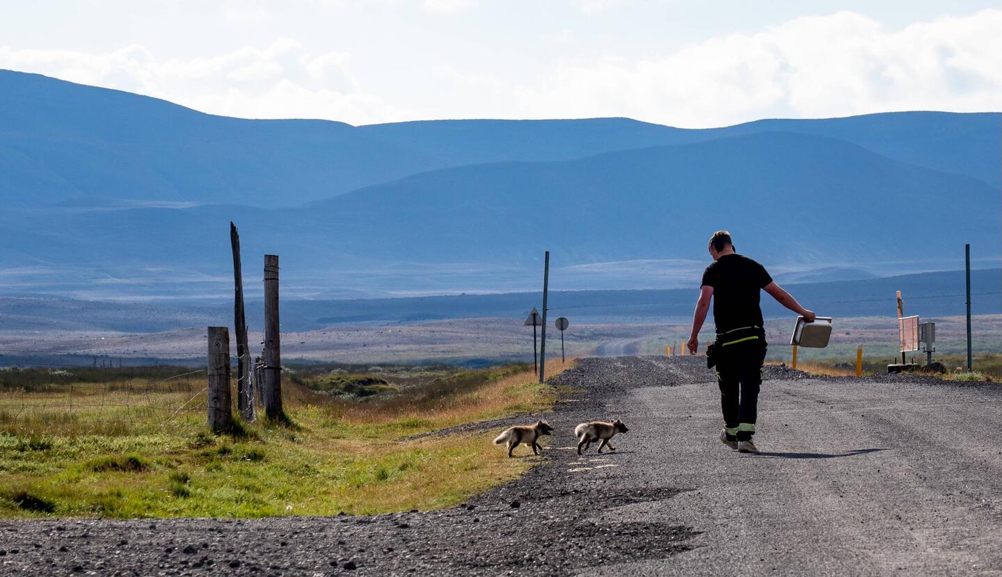 Definitiv Futterabhängig 😉