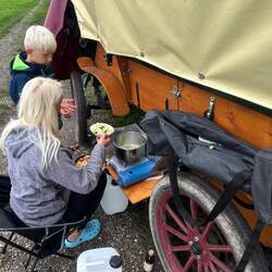 Gemüse Eintopf in the making