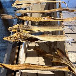 Cabillaud séché (stock fish) qu'on peut conserver plusieurs années