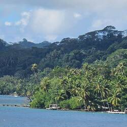 Tahaa