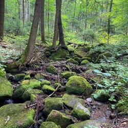 Schon anspruchsvoll 😥- Vera war super tapfer!