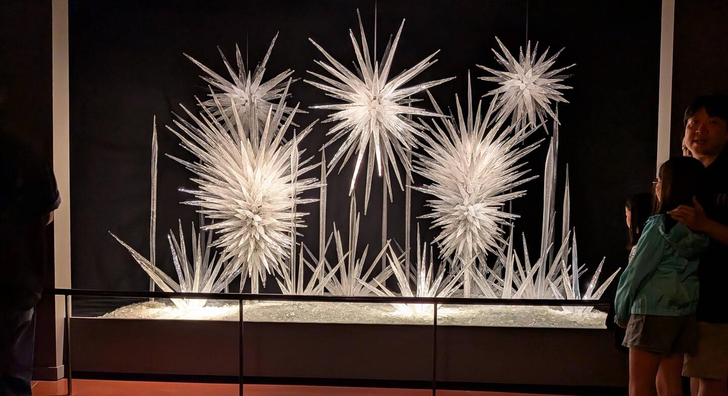 This spectacular display greets you.