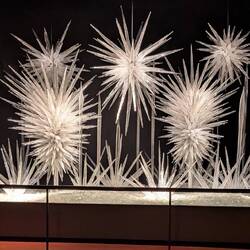 This spectacular display greets you.