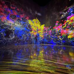 Beeindruckende Farb- Lichtspiele