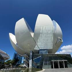 Artscience Museum -TeamLab Future World