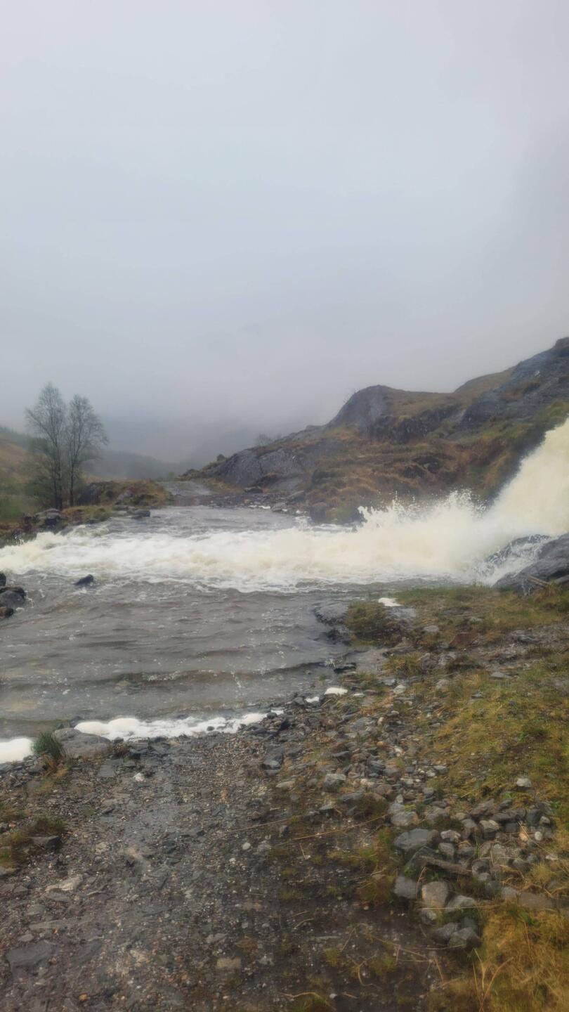 Der Bach gestern, bei dem der estate manager gesagt hatte, nehmt die Brücke bachaufwärts.