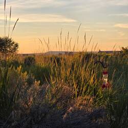 Last sunset over the refuge