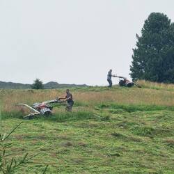 Die Bauer mähen - ein gutes Omen!😉