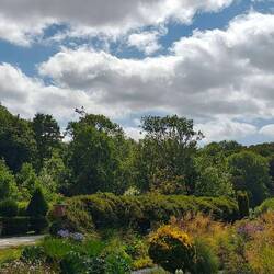 Blumen- und Kräutergarten