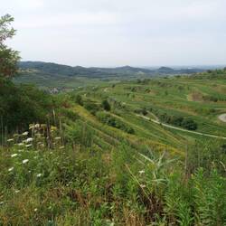 Oberbergener Blick