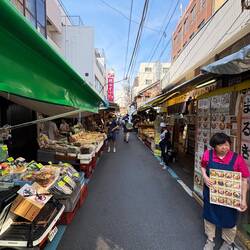 Markets surrounding Tsukiji Fish Market