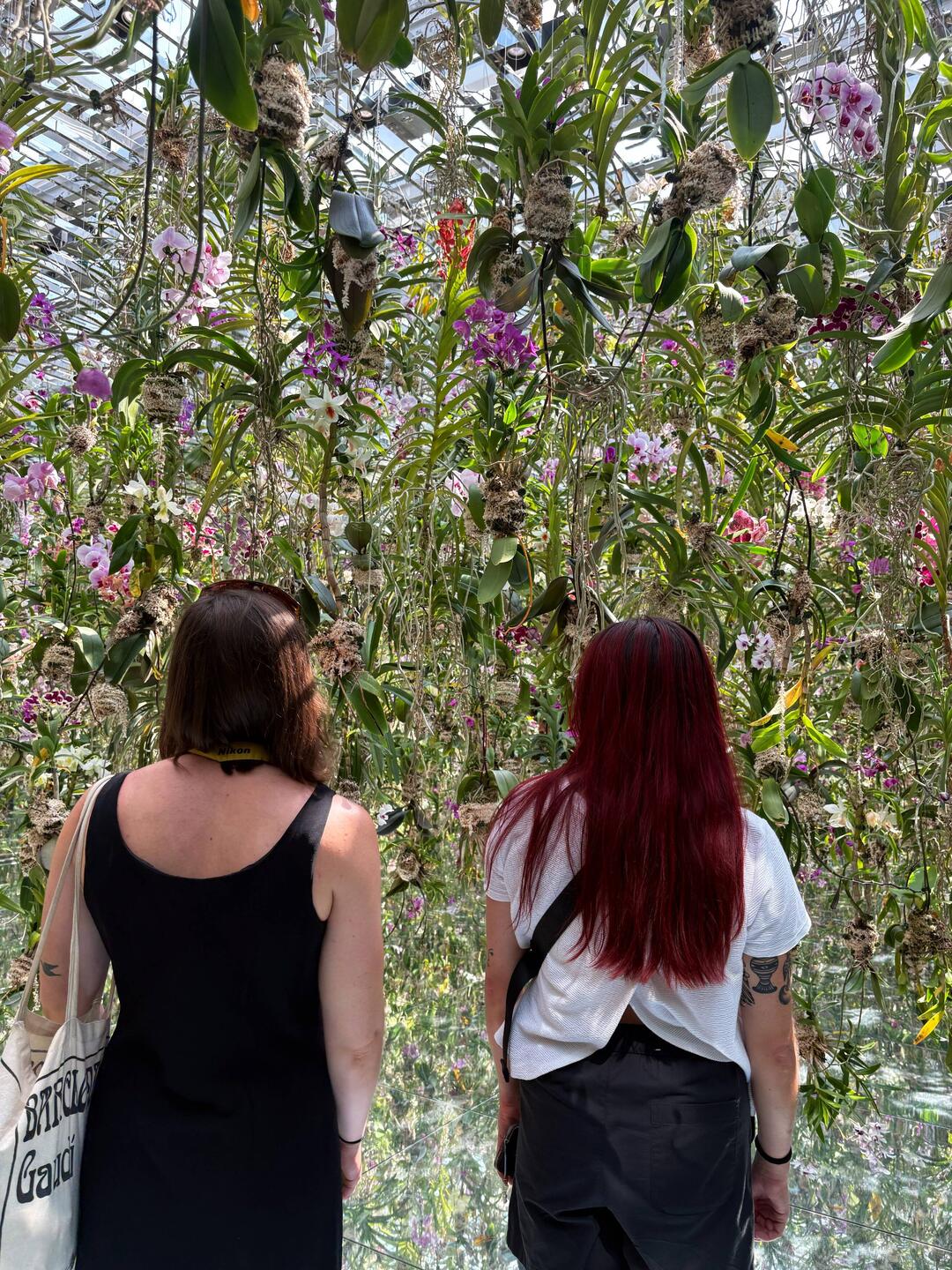 Just one of teamLab: Planets interactive art experiences