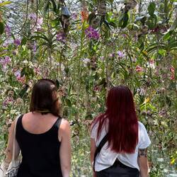 Just one of teamLab: Planets interactive art experiences