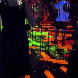 Just one of the amazing interactive art experiences at teamLab: Planets