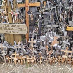 Alle Größen: von Mini bis riesig