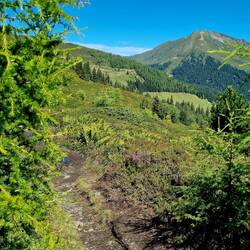 Die Kellerjochhütte im Blick.