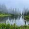 Reflection Lake
