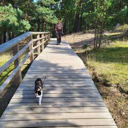 Leni mag keinen Wind von vorn.
