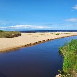 Die Mündung der Lilaste....