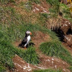 Muss einfach sein 😉😂